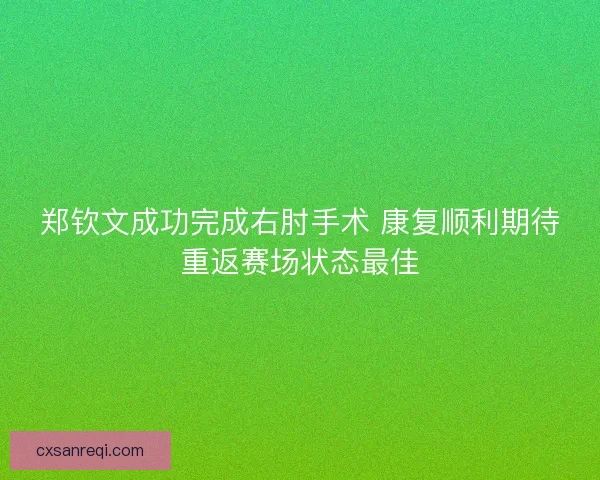 郑钦文成功完成右肘手术 康复顺利期待重返赛场状态最佳
