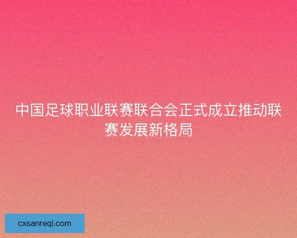中国足球职业联赛联合会正式成立推动联赛发展新格局