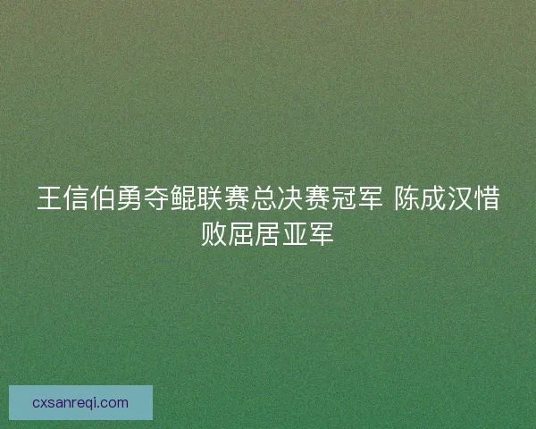 王信伯勇夺鲲联赛总决赛冠军 陈成汉惜败屈居亚军